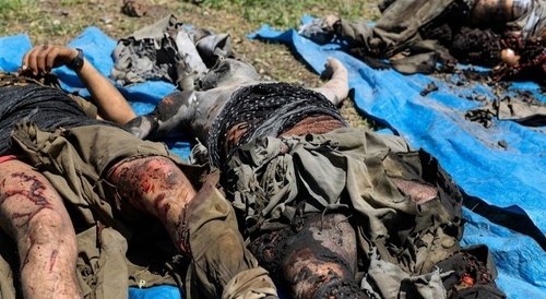 dead terrorist bodies in Syria