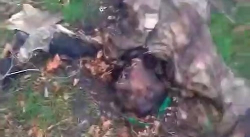 Four burnt, rotting Ukrainian corpses.