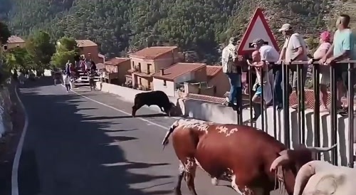 Woman's Turn To Get The Horns!