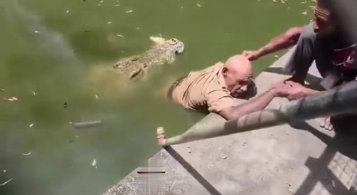 Croc-o-DIAL Kills It's Handler