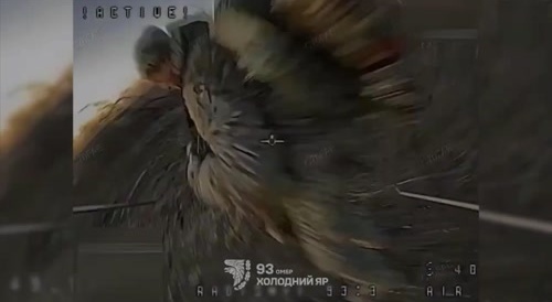 Russian soldiers being torn apart.