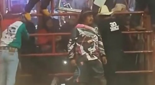 Bull Stomp