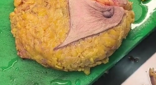 Boob For Dinner