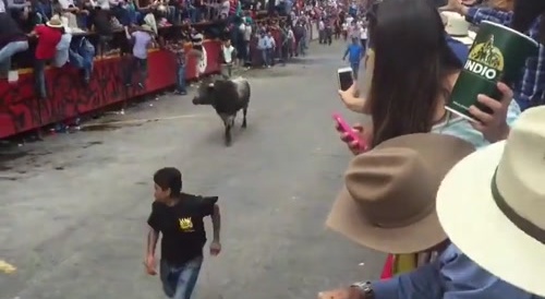Guy Gored To Death By Bull