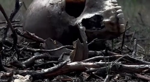 Another 522 rotten corpses of Ukrainians.