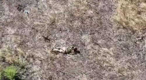 The wounded Ukrainian had his ass torn open.