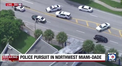 Carjacker Plays 'Bumper Cars'