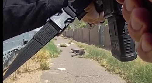Suicide By Cop