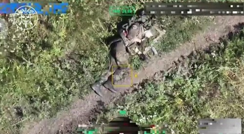 The ukrainian field is littered with dead russian fertilizer following failed assaults.