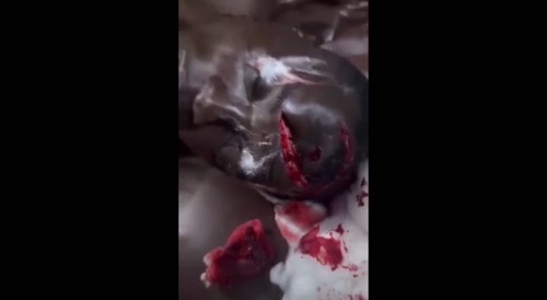 Crazy Machete Fight