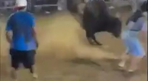 Bull Sends One Up