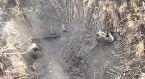 Brutal destruction