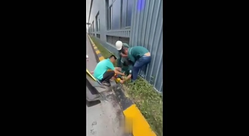 Practice Run, He Nailed It