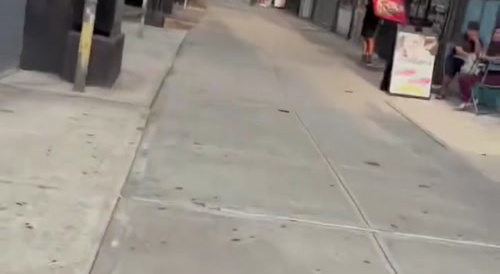 Man fatally stabbed on J train,