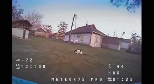 Cat Takes Out Drone