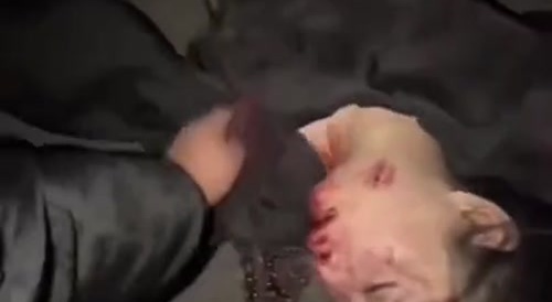 Cheating Leads To Murder