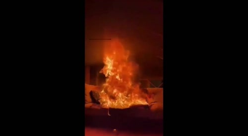 30-Year-Old Twitch Bitch Self Immolates