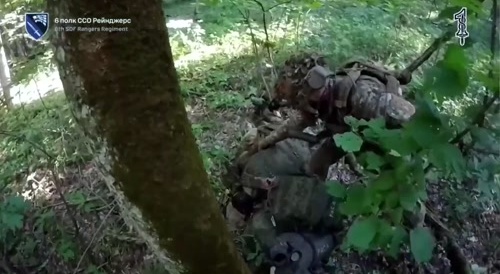 Ukrainian troops set an ambush