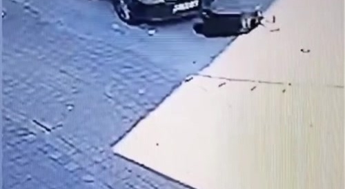 reptilian thief