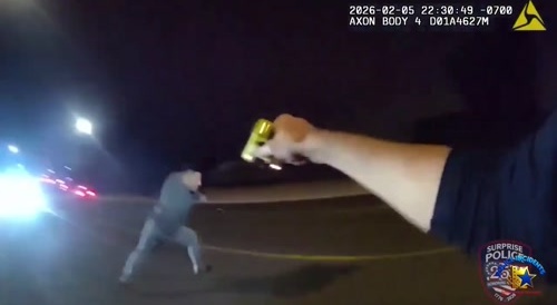Suspect Gets Hit By Car And Dies