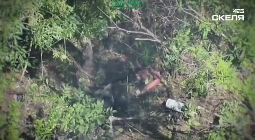 The destruction of russian nazis in the steppes of Ukraine.
