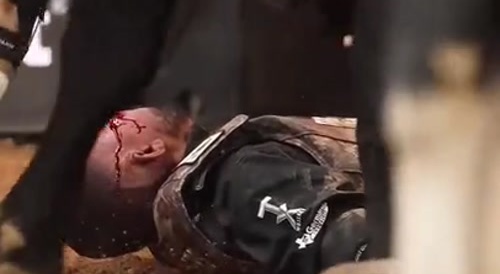 Close-Up Bull Stomp